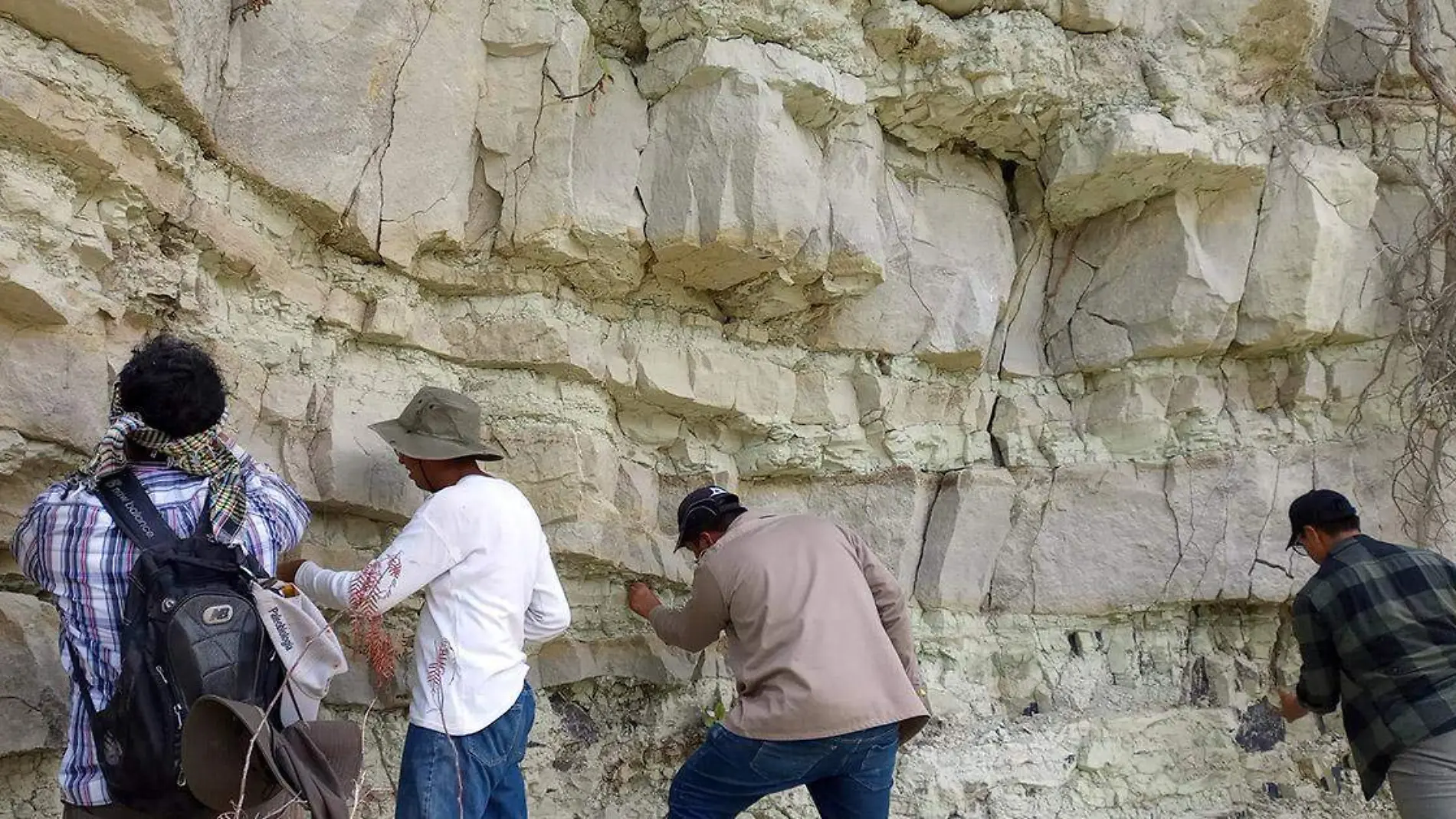 Laboratorio de Paleobiología de la BUAP